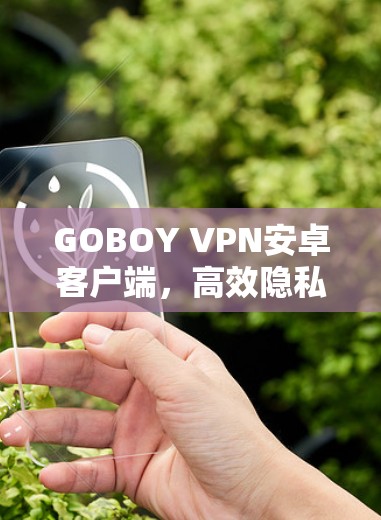 GOBOY VPN安卓客户端,高效隐私保护,高速无限畅 GOBOY VPN安卓客户端,高效隐私保护,高速无限畅