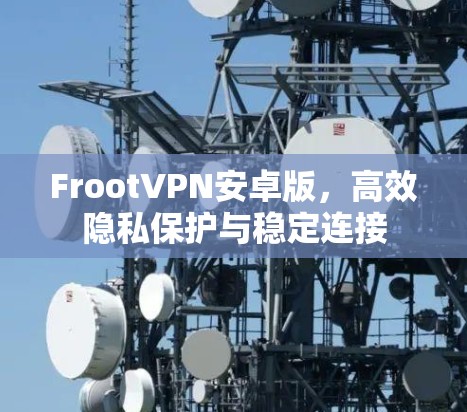 FrootVPN安卓版，高效隐私保护与稳定连接
