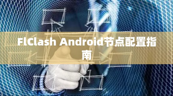 FlClash Android节点配置指南