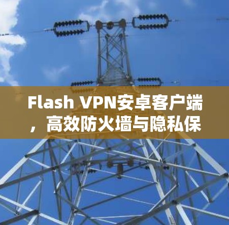 Flash VPN安卓客户端,高效防火墙与隐私保护 Flash VPN安卓客户端,高效防火墙与隐私保护