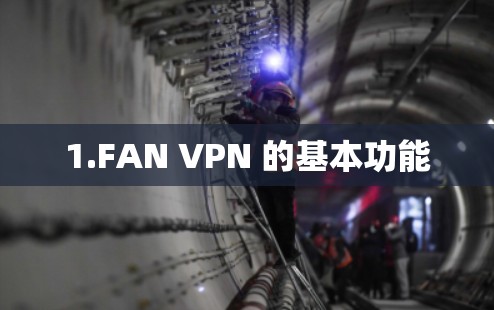1.FAN VPN 的基本功能 1.FAN VPN 的基本功能