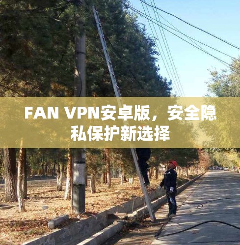 FAN VPN安卓版,安全隐私保护新选择 FAN VPN安卓版,安全隐私保护新选择