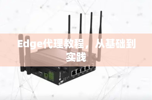 Edge代理教程,从基础到实践 Edge代理教程,从基础到实践