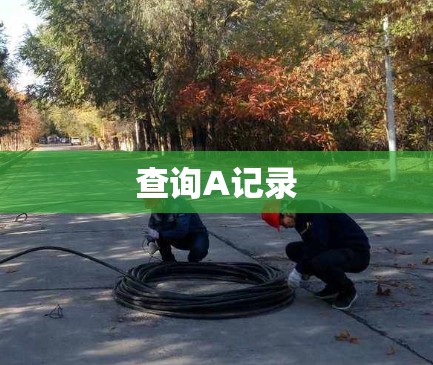 查询A记录
