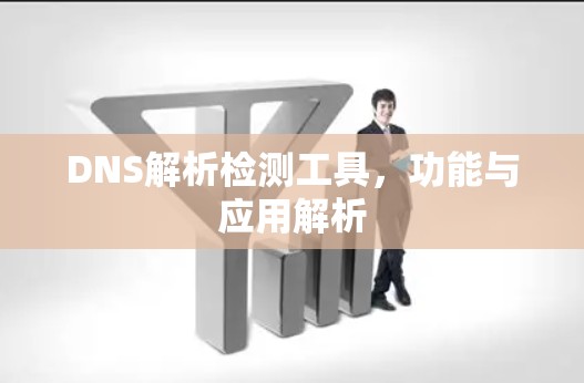 DNS解析检测工具，功能与应用解析