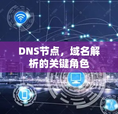 DNS节点,域名解析的关键角色 DNS节点,域名解析的关键角色