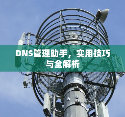 DNS管理助手,实用技巧与全解析 DNS管理助手,实用技巧与全解析