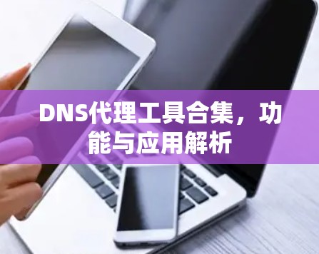 DNS代理工具合集,功能与应用解析 DNS代理工具合集,功能与应用解析