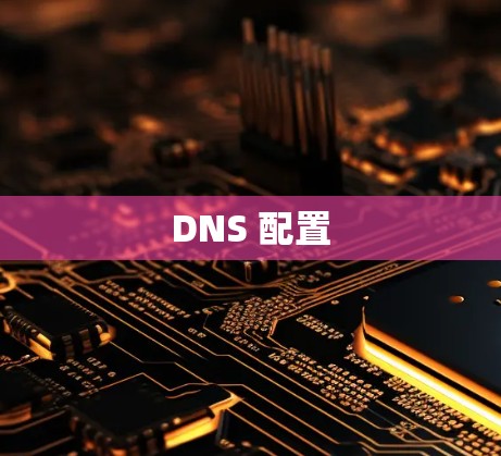 DNS 配置
