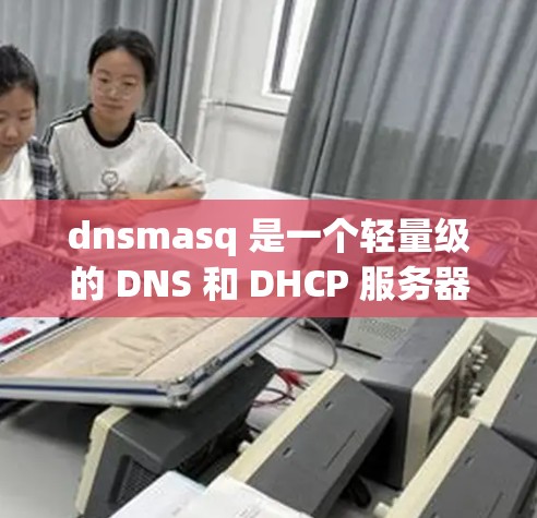 dnsmasq 是一个轻量级的 DNS 和 DHCP 服务器，常用于小型网络或开发环境。以下是安装和配置 dnsmasq 的步骤
