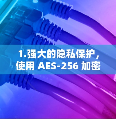 1.强大的隐私保护，使用 AES-256 加密和无日志政策，确保数据安全