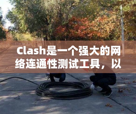 Clash是一个强大的网络连通性测试工具,以下是配置Clash的详细步骤 Clash是一个强大的网络连通性测试工具,以下是配置Clash的详细步骤