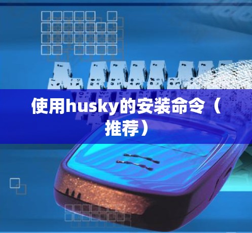 使用husky的安装命令（推荐）