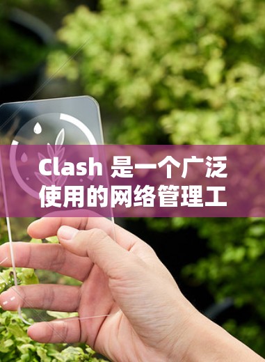 Clash 是一个广泛使用的网络管理工具，可以帮助你轻松管理订阅链接。以下是 Clash 订阅链接管理的详细指南，帮助你更高效地组织和维护订阅列表