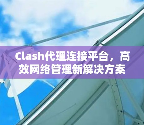 Clash代理连接平台，高效网络管理新解决方案