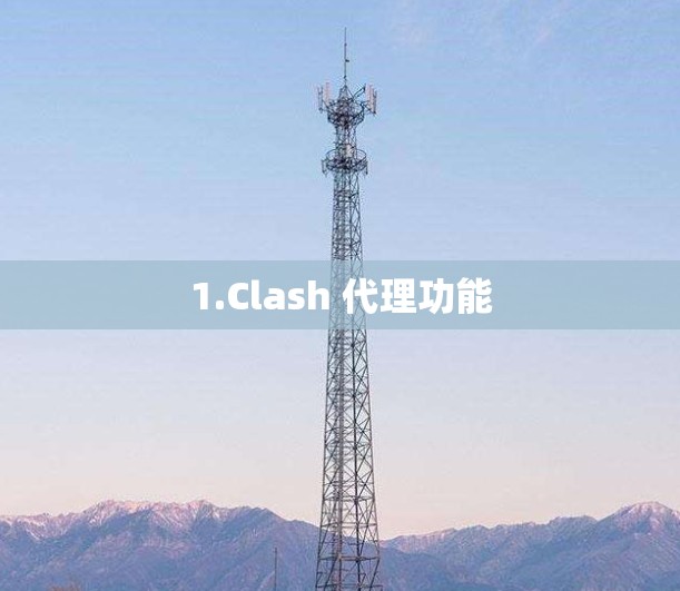 1.Clash 代理功能