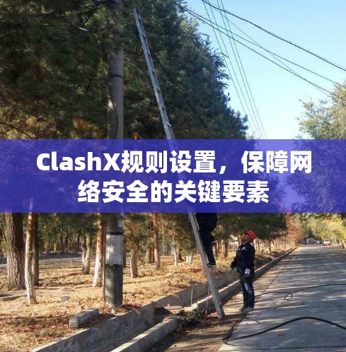 ClashX规则设置，保障网络安全的关键要素