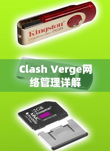 Clash Verge网络管理详解 Clash Verge网络管理详解