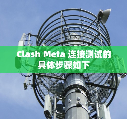 Clash Meta 连接测试的具体步骤如下 Clash Meta 连接测试的具体步骤如下