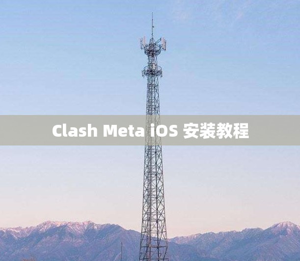 Clash Meta iOS 安装教程 Clash Meta iOS 安装教程