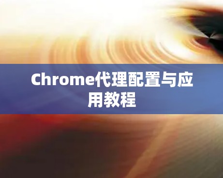 Chrome代理配置与应用教程 Chrome代理配置与应用教程