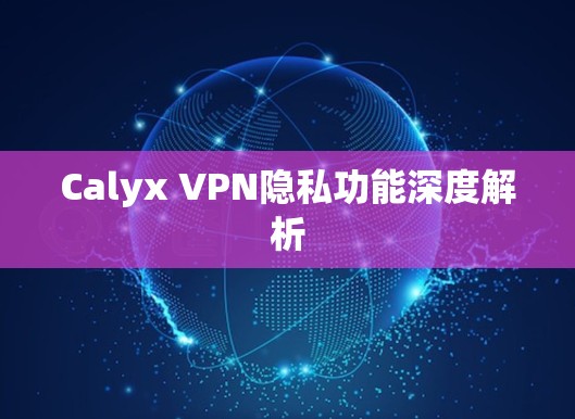 Calyx VPN隐私功能深度解析 Calyx VPN隐私功能深度解析
