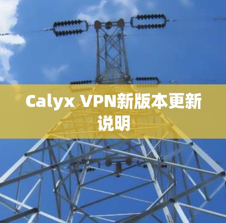 Calyx VPN新版本更新说明