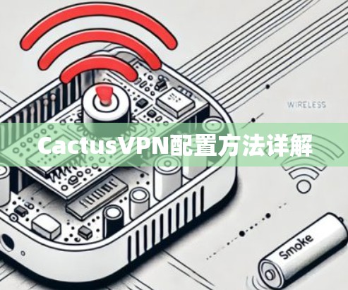 CactusVPN配置方法详解 CactusVPN配置方法详解