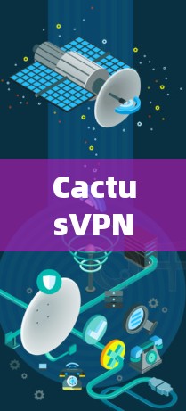 CactusVPN客户端,隐私保护与高效通信的完美融合 CactusVPN客户端,隐私保护与高效通信的完美融合