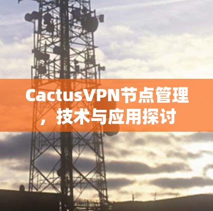 CactusVPN节点管理,技术与应用探讨 CactusVPN节点管理,技术与应用探讨