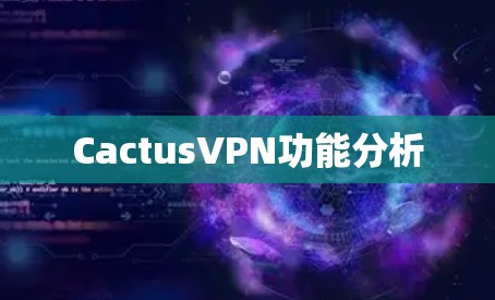 CactusVPN功能分析