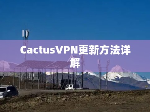 CactusVPN更新方法详解 CactusVPN更新方法详解