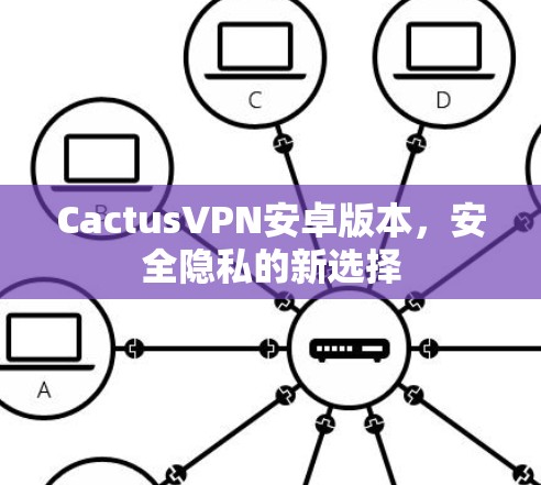 CactusVPN安卓版本,安全隐私的新选择 CactusVPN安卓版本,安全隐私的新选择