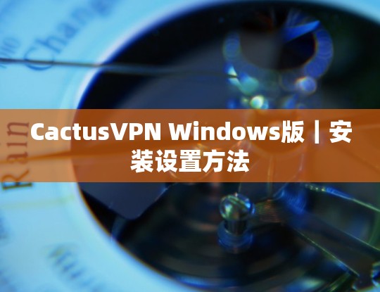 CactusVPN Windows版|安装设置方法 CactusVPN Windows版|安装设置方法