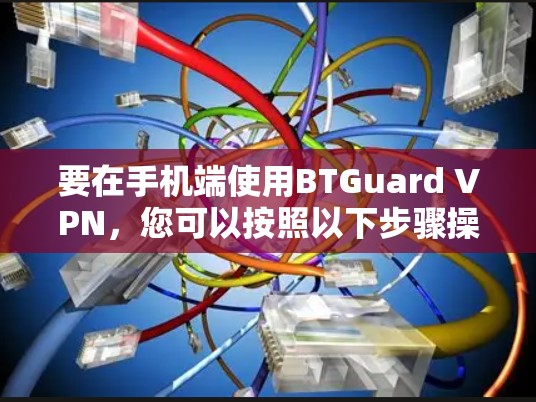 要在手机端使用BTGuard VPN，您可以按照以下步骤操作