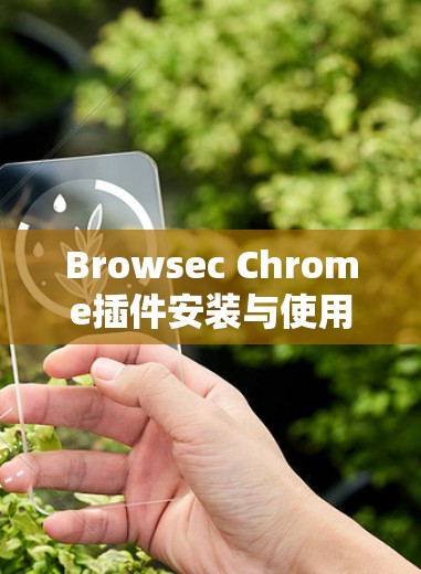 Browsec Chrome插件安装与使用教程 Browsec Chrome插件安装与使用教程