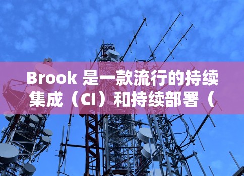 Brook 是一款流行的持续集成（CI）和持续部署（CD）工具，主要用于自动化测试、构建和部署。它支持多种编程语言和框架，适合开发者进行自动化测试和构建流程
