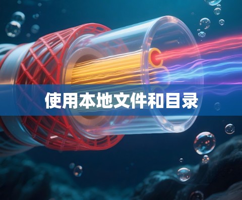 使用本地文件和目录 使用本地文件和目录