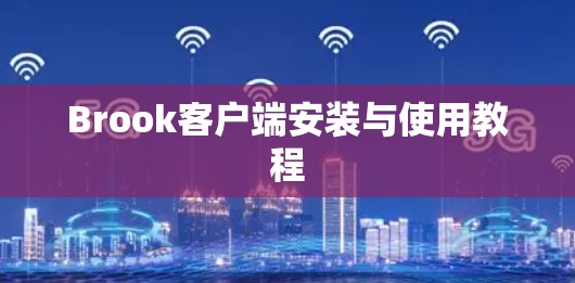 Brook客户端安装与使用教程 Brook客户端安装与使用教程