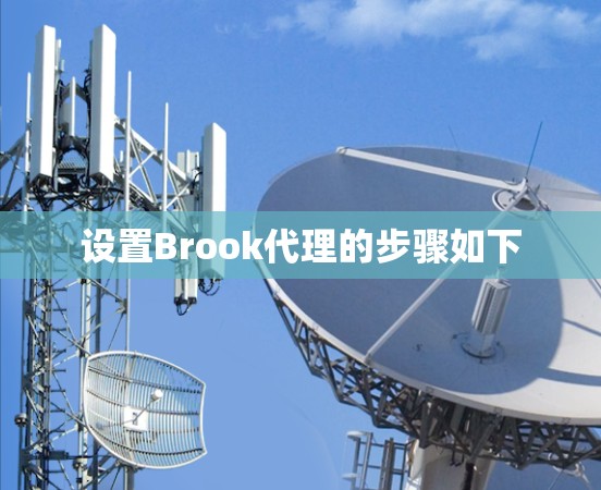 设置Brook代理的步骤如下 设置Brook代理的步骤如下