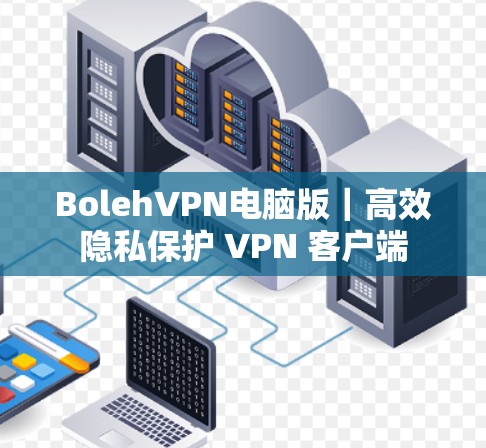 BolehVPN电脑版｜高效隐私保护 VPN 客户端