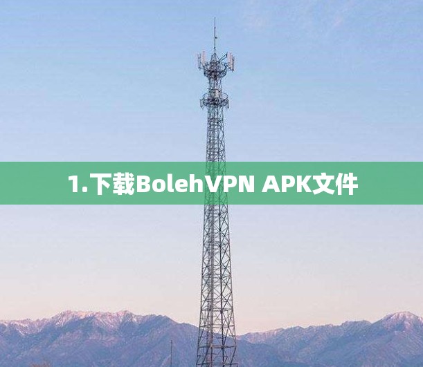 1.下载BolehVPN APK文件