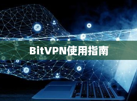 BitVPN使用指南