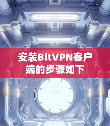 安装BitVPN客户端的步骤如下