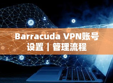 Barracuda VPN账号设置|管理流程 Barracuda VPN账号设置|管理流程