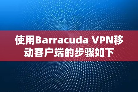 使用Barracuda VPN移动客户端的步骤如下 使用Barracuda VPN移动客户端的步骤如下