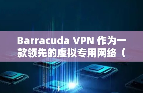 Barracuda VPN 作为一款领先的虚拟专用网络（VPN）服务提供商，提供了全面的安全保护功能，满足家庭和企业用户的不同需求。以下是其主要安全保护功能的详细介绍