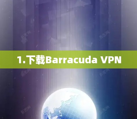 1.下载Barracuda VPN 1.下载Barracuda VPN