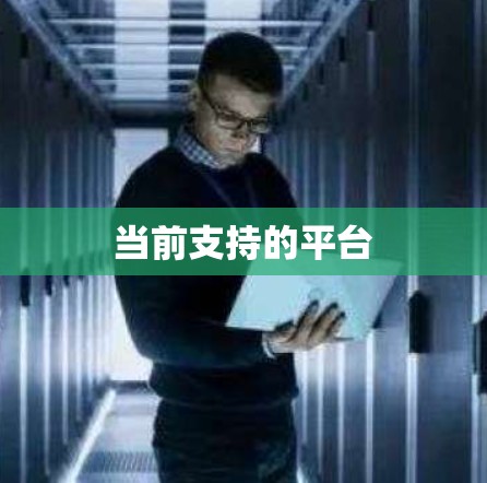 当前支持的平台