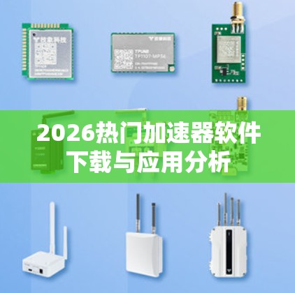 2026热门加速器软件下载与应用分析 2026热门加速器软件下载与应用分析